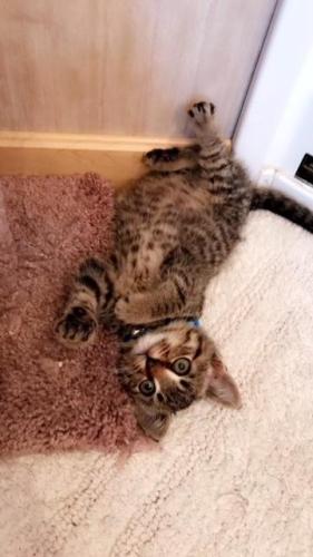 Benny