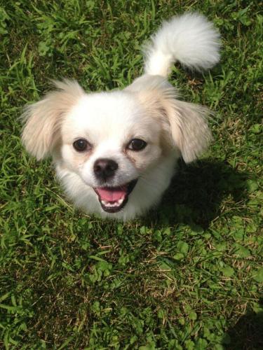 Bill-Nye