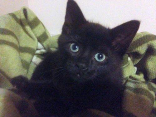 Binx
