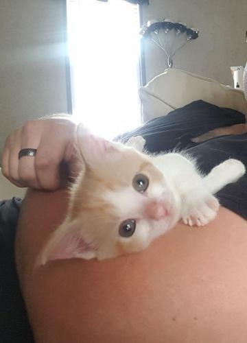 Copper