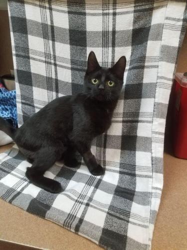 Hermi