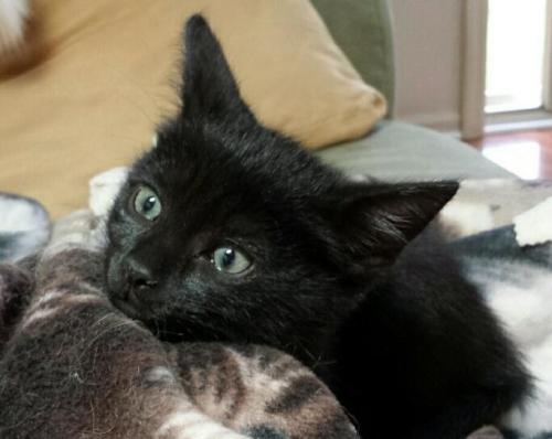 Jack