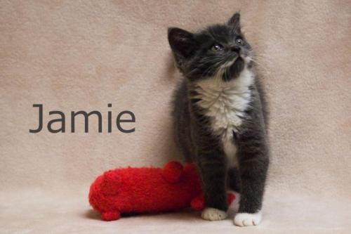 Jamie