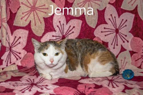 Jemma