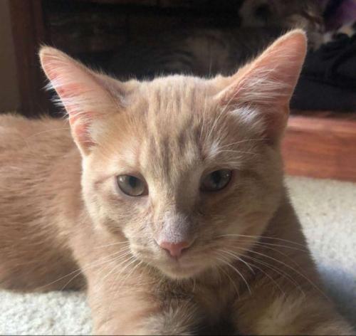 Jethro