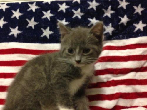 Liberty