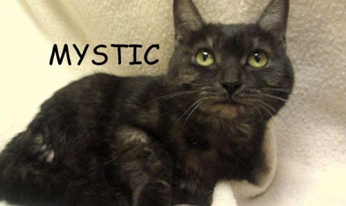 Mystic
