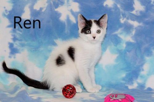 Ren