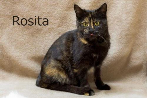 Rosita