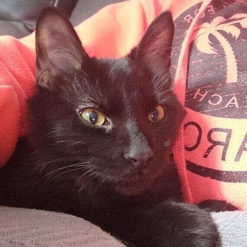 Salem