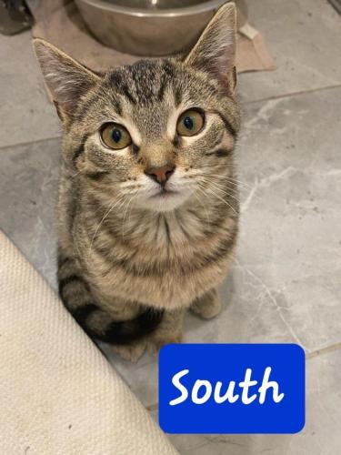South