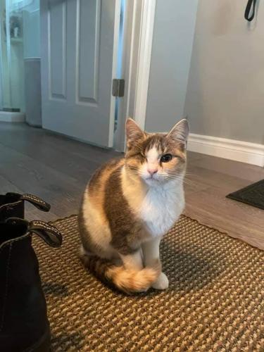 Terri
